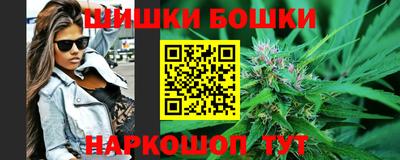 крисы Камышлов