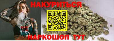 крисы Камышлов