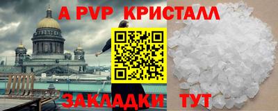 крисы Камышлов