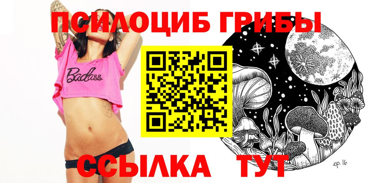 хочу наркоту  Вход с VPN  Краснознаменск  Псилоцибиновые грибы мицелий  Галлюциногенные грибы GOLDEN TEACHER 
