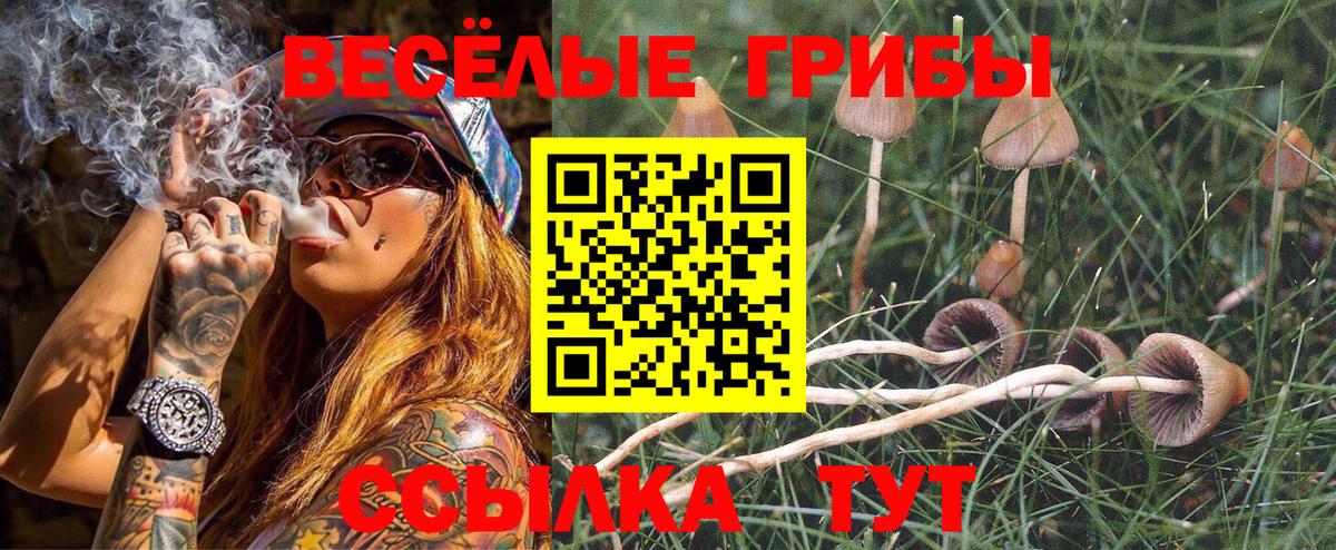 Галлюциногенные грибы мухоморы Краснознаменск